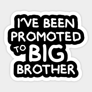 Kids Promoted To Big Brother Sticker